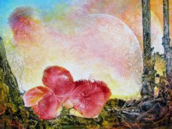 Bogomil Anniversary Flower Otto Rapp Bild