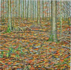 Ochres Groundscape Noel Paine Bild